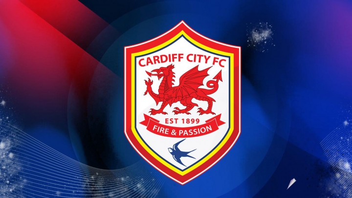 Invazie de norvegieni la echipa galeză  Cardiff City