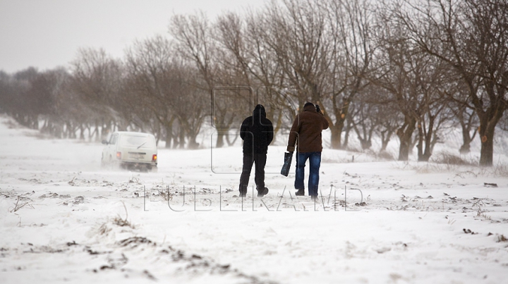 NO COMMENT! Ninsorile abundente din ultimele zile aduc şi bucurie şi necaz (FOTO/VIDEO)