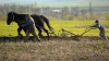 Fermierii moldoveni cer Guvernului introducerea impozitului unic în agricultură