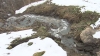 Bombă ecologică la Rezina! De 20 de ani, apele reziduale din oraş se scurg direct în râul Nistru (VIDEO)