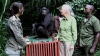 VIDEO EMOŢIONANT! Momentul în care un cimpanzeu îşi ia adio de la femeia care l-a salvat de la moarte