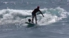 Un porcuşor din Hawai, înnebunit după surfing (VIDEO)