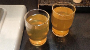 (FOTO) Hotelurile din Soci, gata de Olimpiadă? Jurnaliştii sar pe ferestre, apă ruginită în robinete, iar imaginea lui Putin stă la recepţie