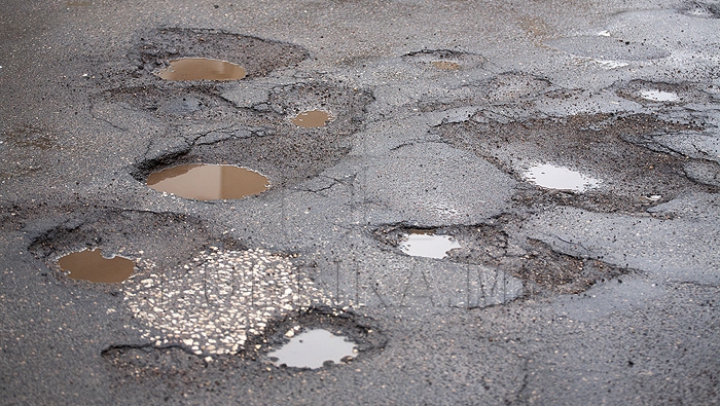 INCREDIBIL! În unele gropi de pe drumurile capitalei au apărut lalele înflorite (FOTO)