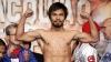 Manny Pacquiao îşi vrea titlul de campion monidal înapoi. Boxerul se pregăteşte intens de lupta cu Timothy Bradley 