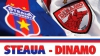 Steaua Bucureşti s-a calificat în finala Cupei României (VIDEO)