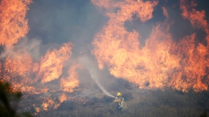 Natura s-a dezlănţuit în Statele Unite: Los Angeles se confruntă cu incendii GRAVE de vegetaţie