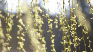 Weekendul începe cu vreme frumoasă, dar şi cu VÂNT PUTERNIC