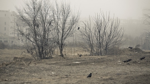 Pe teritoriul ţării se va aşterne ceaţă slabă. Meteorologii anunţă cer noros cu ploi slabe