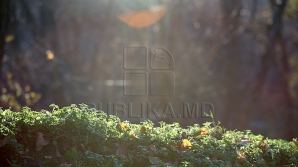 Soarele rămâne stâpân la el acasă   