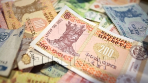 Schema unei firme Work & Travel: Milioane de dolari au ajuns în off-shore, iar statul a fost prejudiciat cu 15 milioane de lei