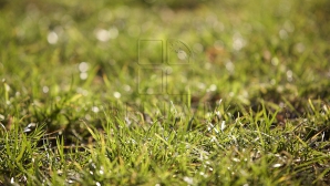 Ne vom bucura de un weekend cu MULT SOARE!