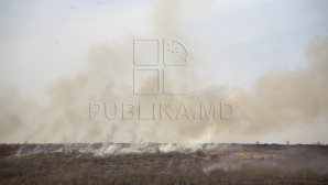 Atenţie, pericol de incendii de vegetaţie! Pompierii au stins circa 300 de focare în ultimele patru zile