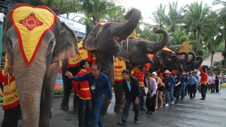 Petrecere de Ziua Elefanţilor în Thailanda. Patrupedele au primit în dar zece tone de fructe şi legume