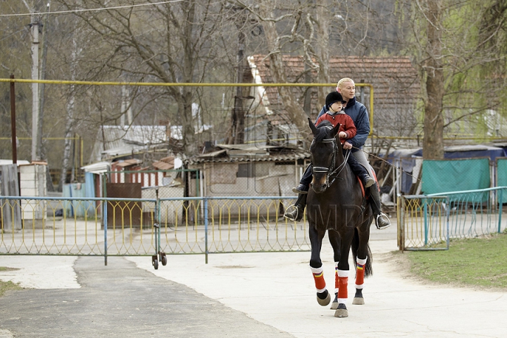 Probleme noi pentru şcoala de hipism. Plutonul de cavalerie al MAI nu plăteşte chiria şi întreţinerea grajdurilor (FOTO)