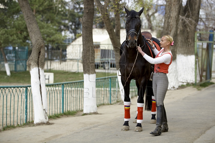 Probleme noi pentru şcoala de hipism. Plutonul de cavalerie al MAI nu plăteşte chiria şi întreţinerea grajdurilor (FOTO)