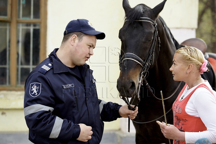 Probleme noi pentru şcoala de hipism. Plutonul de cavalerie al MAI nu plăteşte chiria şi întreţinerea grajdurilor (FOTO)