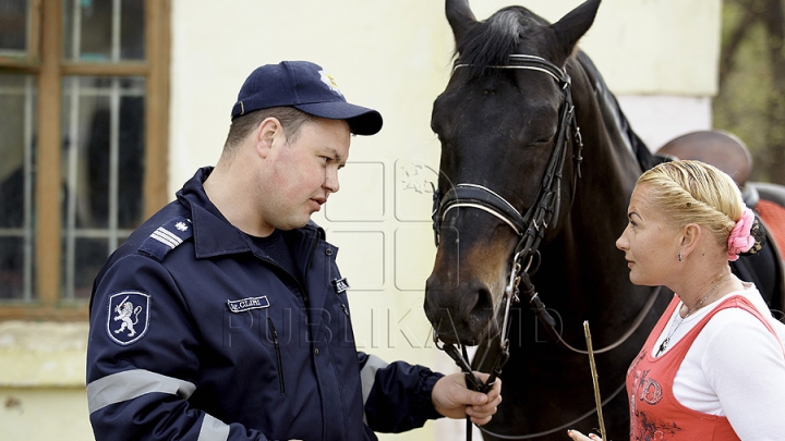 Probleme noi pentru şcoala de hipism. Plutonul de cavalerie al MAI nu plăteşte chiria şi întreţinerea grajdurilor (FOTO)