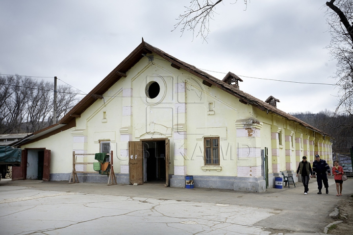 Probleme noi pentru şcoala de hipism. Plutonul de cavalerie al MAI nu plăteşte chiria şi întreţinerea grajdurilor (FOTO)