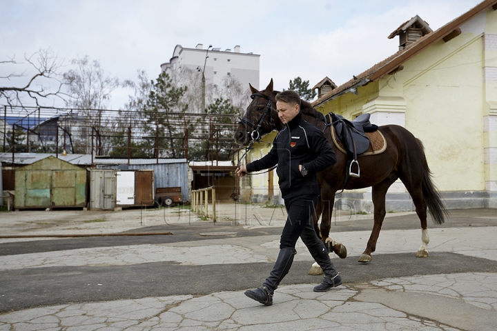 Probleme noi pentru şcoala de hipism. Plutonul de cavalerie al MAI nu plăteşte chiria şi întreţinerea grajdurilor (FOTO)