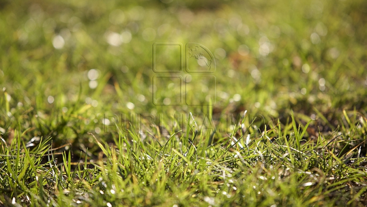 День за днём