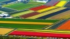 Imagini desprinse din poveste: Câmpiile înflorite ale Olandei de la înălţime (FOTO)