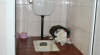 GALERIE FOTO cu toaletele din spitalele moldoveneşti. Imaginile sunt deplorabile