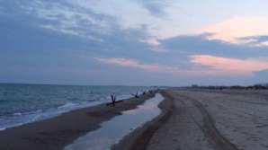 Apariţie de groază pe plajele din Odesa. Se întâmplă pentru prima dată după cel de-al Doilea Război Mondial (FOTO)