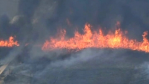 SUA în flăcări. Incendiile au devastat sute de hectare de vegetaţie în statul New Jersey