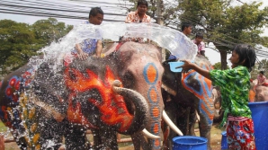 Veselie mare la Festivalul Apei din Thailanda VIDEO