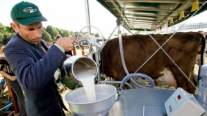 Un nou embargo. Ruşilor nu le mai plac produsele lactate de la şase companii ucrainene