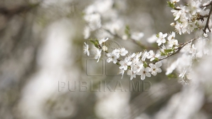 Vreme instabilă în următoarele zile. Temperaturile vor marca o uşoară scădere 