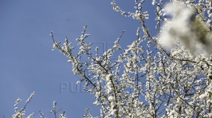 Maximele sunt în continuă creştere pe parcursul săptămânii. Află când va ploua