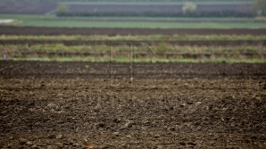 Nămolul de la staţia de epurare a fost transformat în fertilizant (GALERIE FOTO)