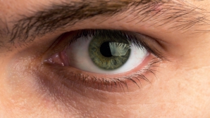 Ce nu ştiai despre funcţiile unor părţi ale corpului uman 