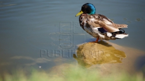 Sfârşitul săptămânii ne aduce vreme frumoasă şi temperaturi mai generoase