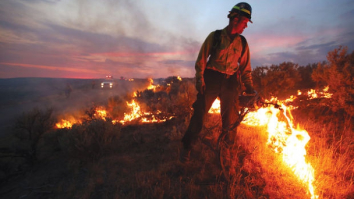 Incendiile de vegetaţie fac ravagii în SUA. După New Jersey, flăcările au curpins şi statul Wisconsin 