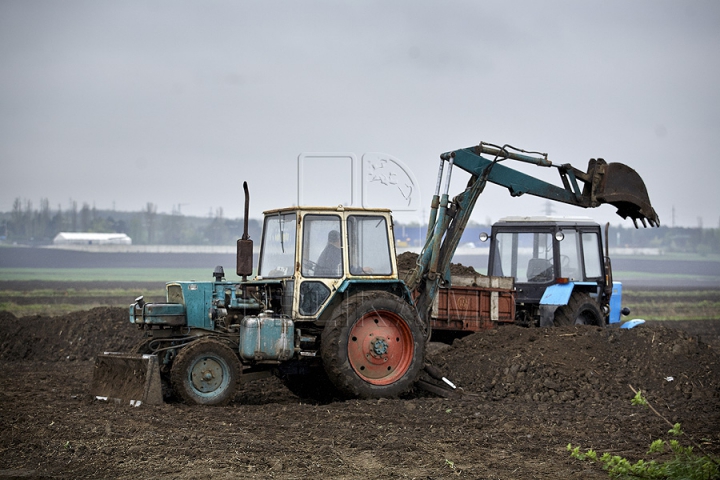 Nămolul de la staţia de epurare a fost transformat în fertilizant (GALERIE FOTO)