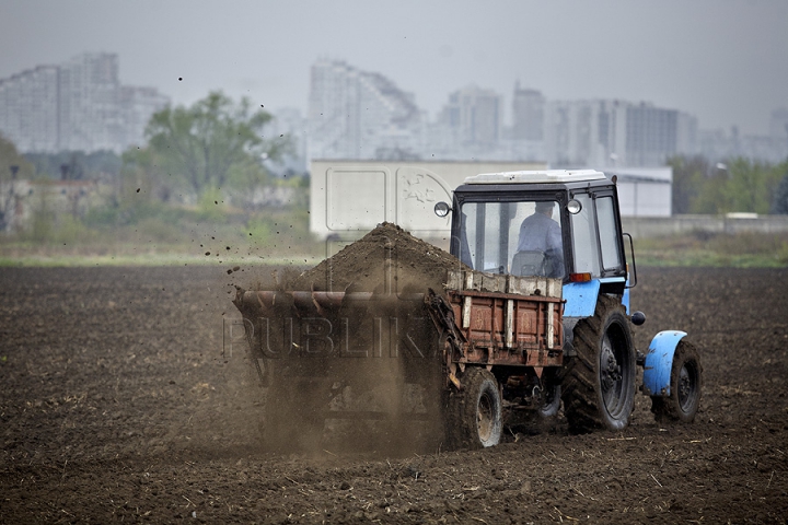 Nămolul de la staţia de epurare a fost transformat în fertilizant (GALERIE FOTO)