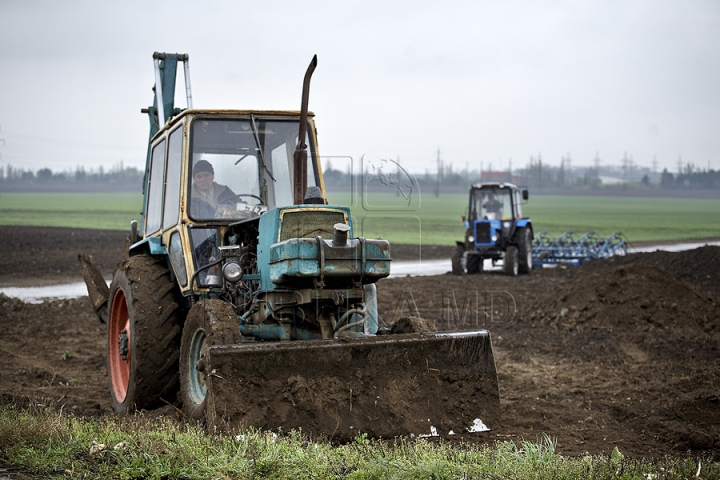 Nămolul de la staţia de epurare a fost transformat în fertilizant (GALERIE FOTO)