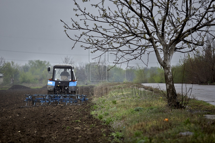 Nămolul de la staţia de epurare a fost transformat în fertilizant (GALERIE FOTO)