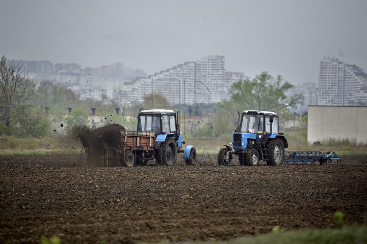 Nămolul de la staţia de epurare a fost transformat în fertilizant (GALERIE FOTO)