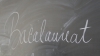 BACALAUREAT 2014: Pregătiri în direct pentru proba la limbă română (VIDEO)