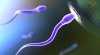 Soluţie ingenioasă pentru bărbaţii ce nu pot avea copii: Spermatozoizii pot fi creaţi din pielea lor