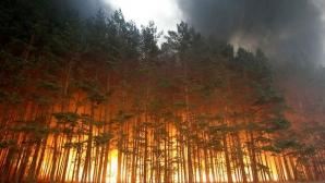 Un nou episod din serialul America în flăcări. Incendiile de pădure fac ravagii în statul american Oklahoma (VIDEO)