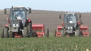 Nu renunţă la proteste! Agricultorii sunt indignaţi că nu au primit niciun răspuns din partea autorităţilor