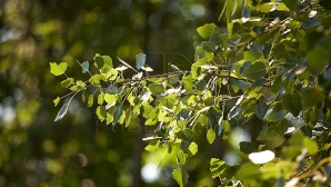 Soare din plin în toată ţara. Iată ce temperaturi ne promit meteorologii