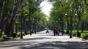 Nesimţire cu EPOLEŢI! Un poliţist traversează ziua în amiaza mare cu maşina o alee din parc plină de copii (VIDEO)