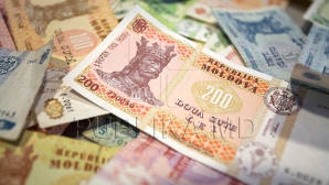 Euro, dolarul şi leul românesc, cresc în raport cu moneda naţională