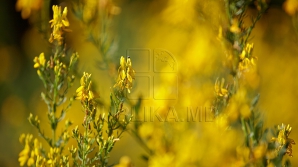 Final cu vreme frumoasă pentru o săptămână ploioasă 